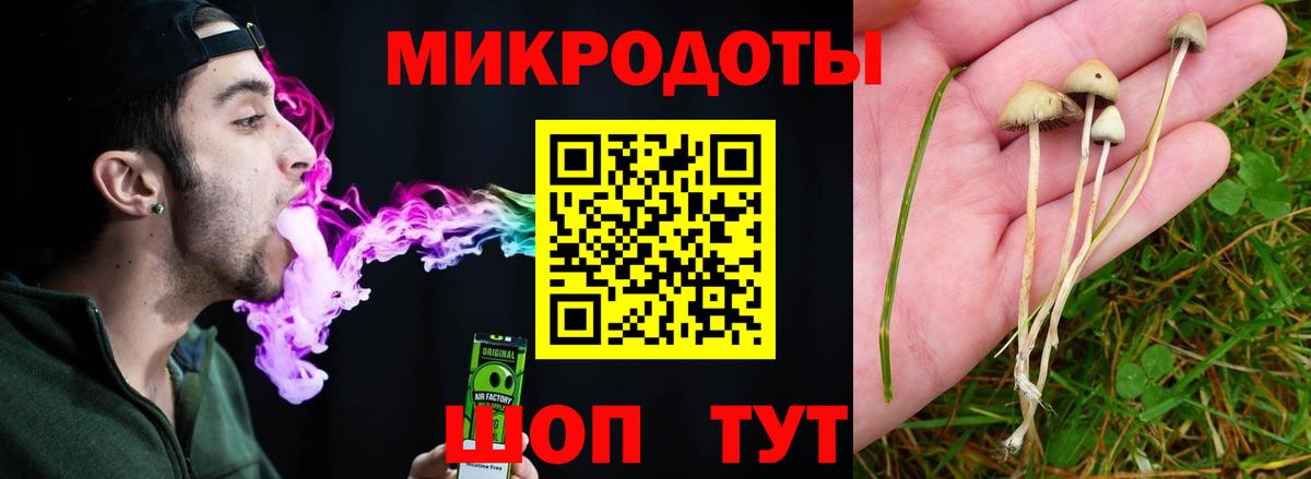 Галлюциногенные грибы Psilocybine cubensis  Псилоцибиновые грибы Magic Shrooms  Зеленодольск  Вход с VPN 